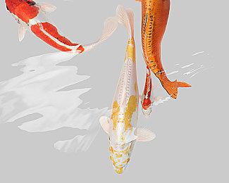 《荣耀战魂》Y6S2“圣甲虫的诅咒”预告 6月16日上线